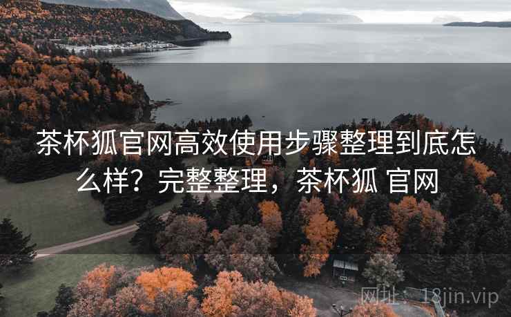 茶杯狐官网高效使用步骤整理到底怎么样？完整整理，茶杯狐 官网  第2张