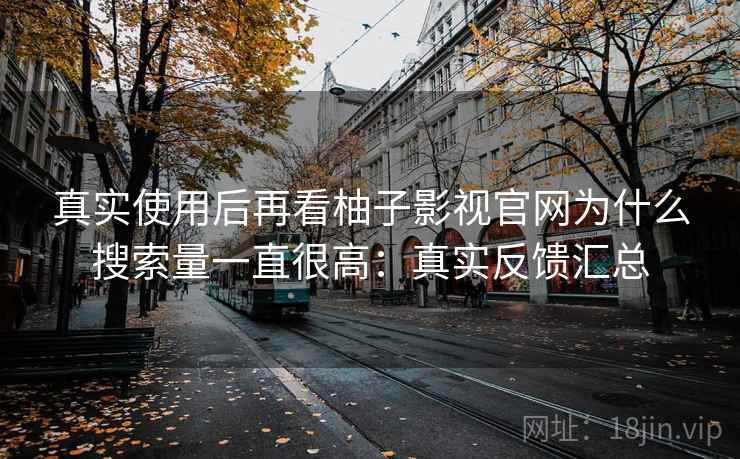 真实使用后再看柚子影视官网为什么搜索量一直很高:真实反馈汇总 第2张 真实使用后再看柚子影视官网为什么搜索量一直很高:真实反馈汇总 第2张